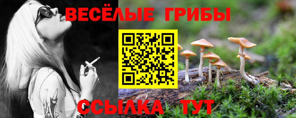 Галлюциногенные грибы MAGIC MUSHROOMS  Вход с VPN  Вязьма 